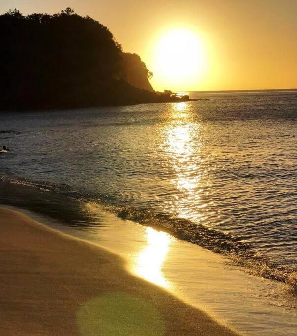 Caraibes Cottage Grenat Piscine Privee 900M De Grande Anse 데샤이에스 외부 사진
