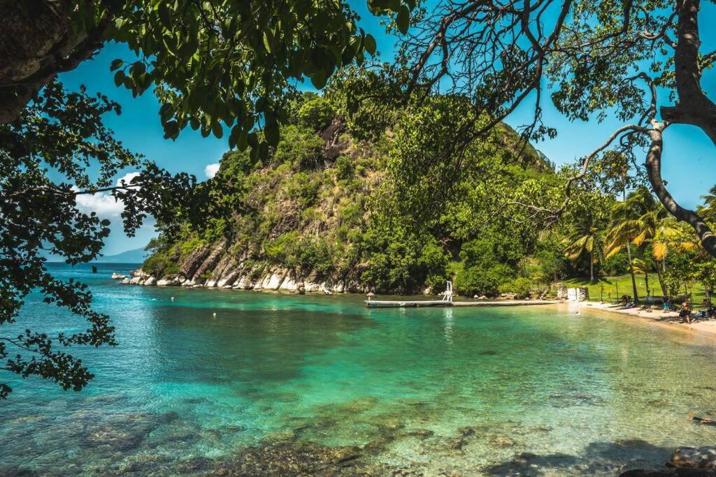 Caraibes Cottage Grenat Piscine Privee 900M De Grande Anse 데샤이에스 외부 사진