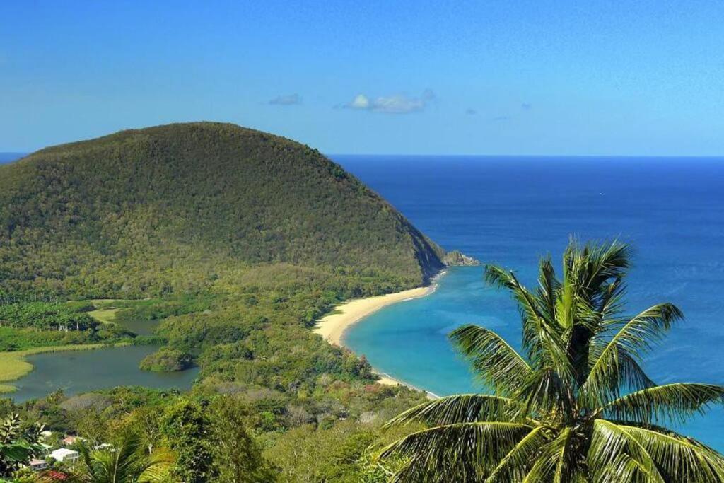 Caraibes Cottage Grenat Piscine Privee 900M De Grande Anse 데샤이에스 외부 사진