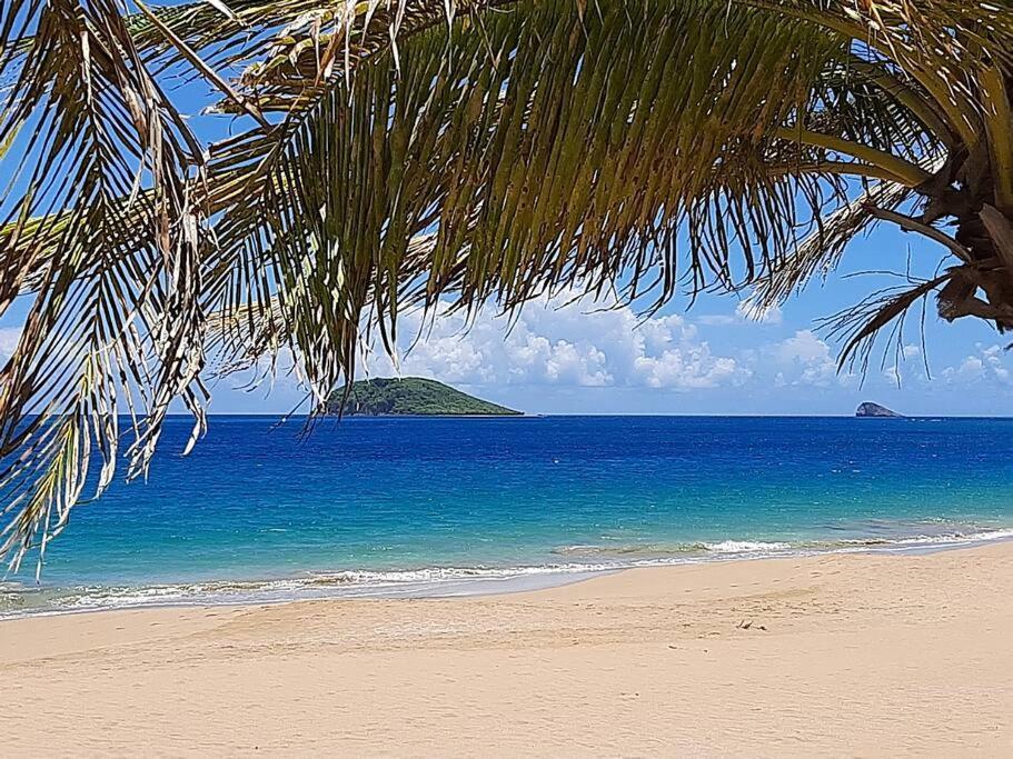 Caraibes Cottage Grenat Piscine Privee 900M De Grande Anse 데샤이에스 외부 사진