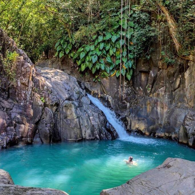 Caraibes Cottage Grenat Piscine Privee 900M De Grande Anse 데샤이에스 외부 사진