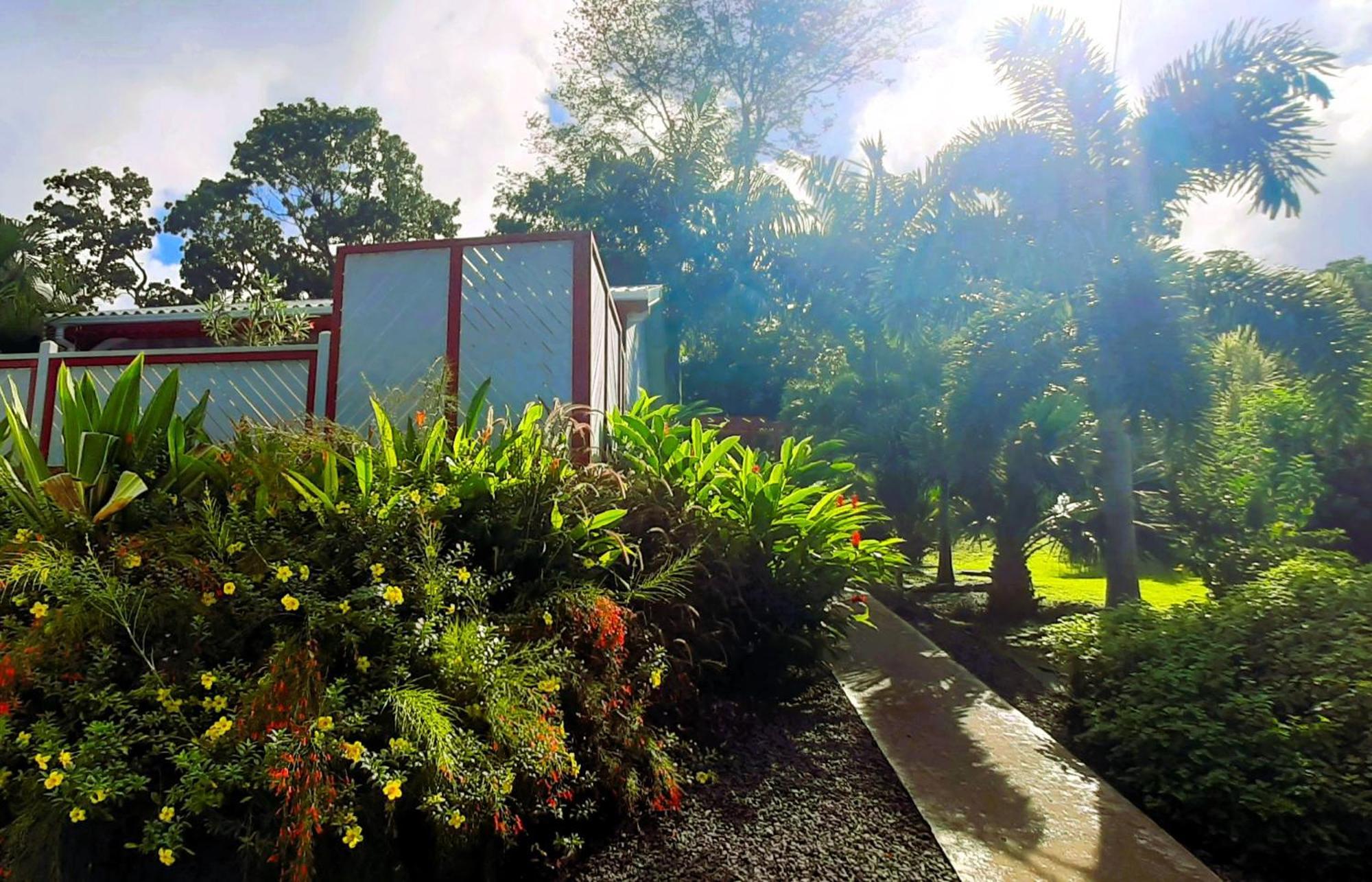 Caraibes Cottage Grenat Piscine Privee 900M De Grande Anse 데샤이에스 외부 사진