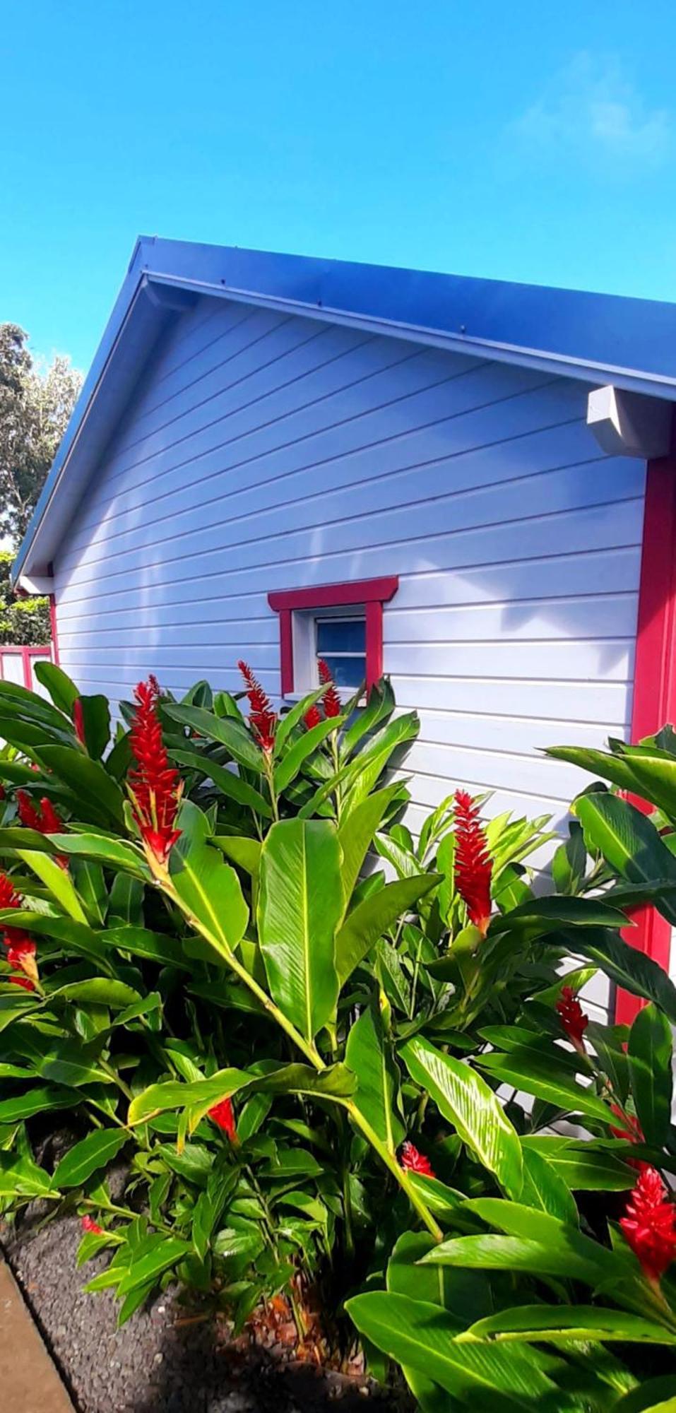 Caraibes Cottage Grenat Piscine Privee 900M De Grande Anse 데샤이에스 외부 사진