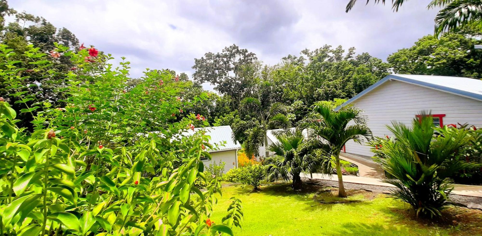 Caraibes Cottage Grenat Piscine Privee 900M De Grande Anse 데샤이에스 외부 사진