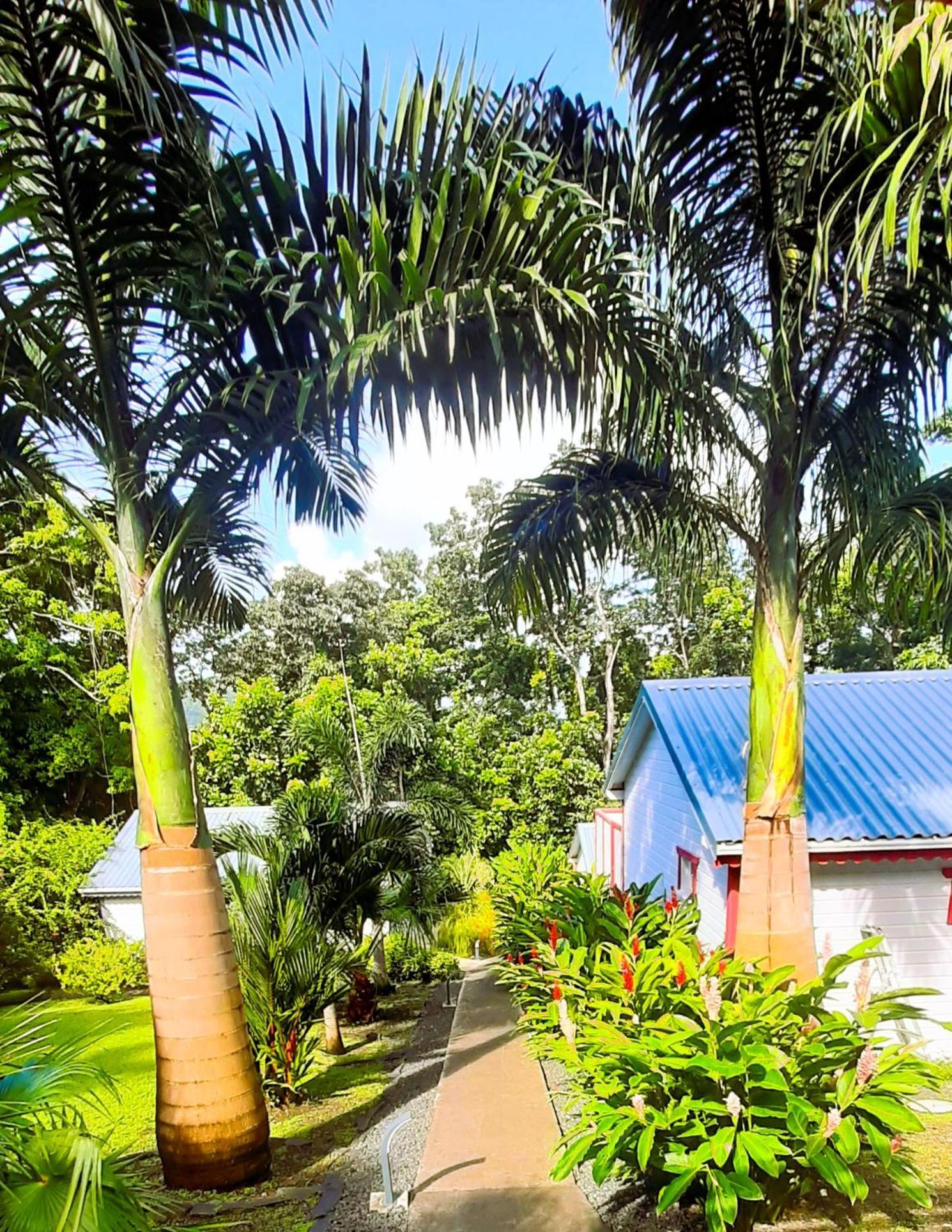 Caraibes Cottage Grenat Piscine Privee 900M De Grande Anse 데샤이에스 외부 사진
