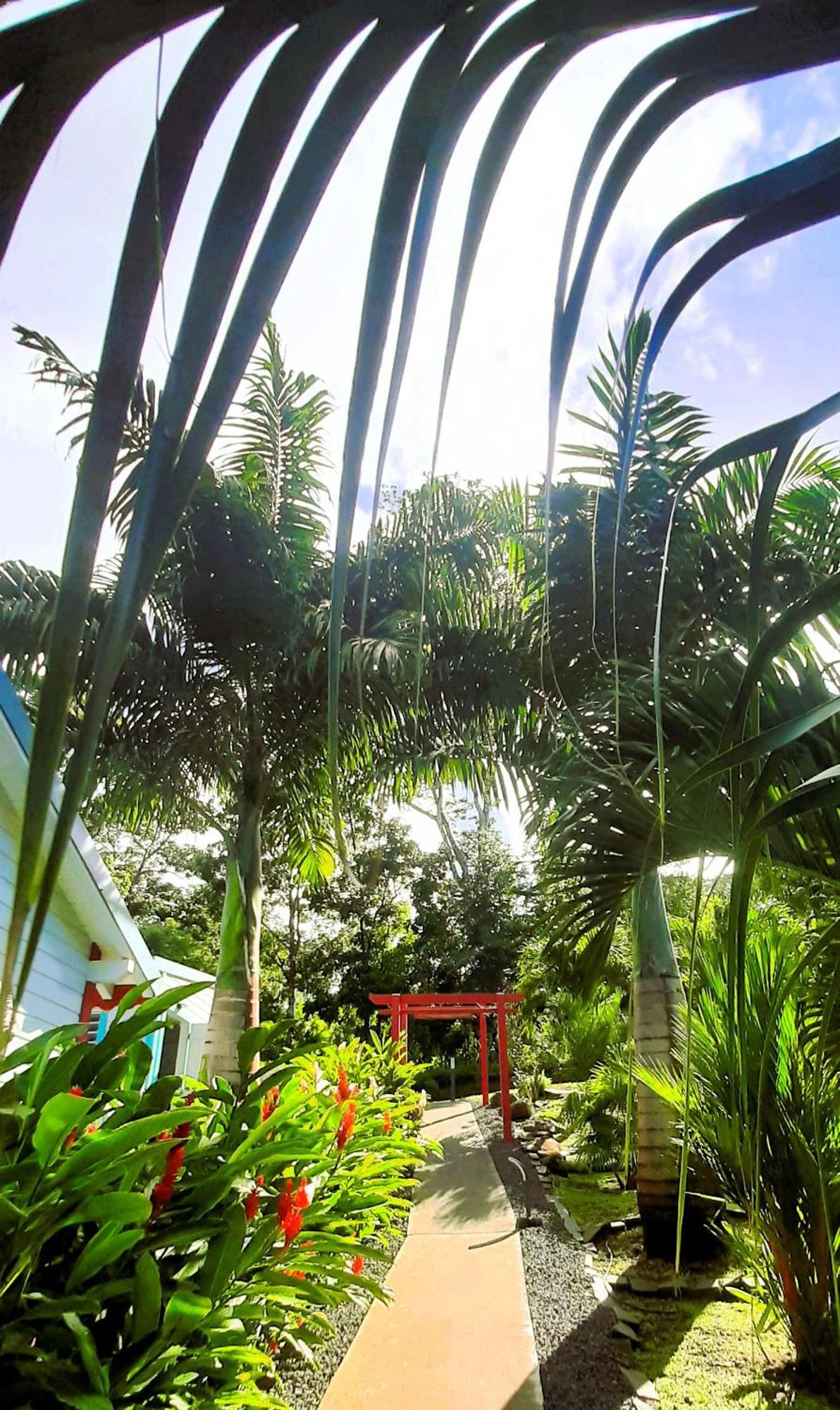 Caraibes Cottage Grenat Piscine Privee 900M De Grande Anse 데샤이에스 외부 사진