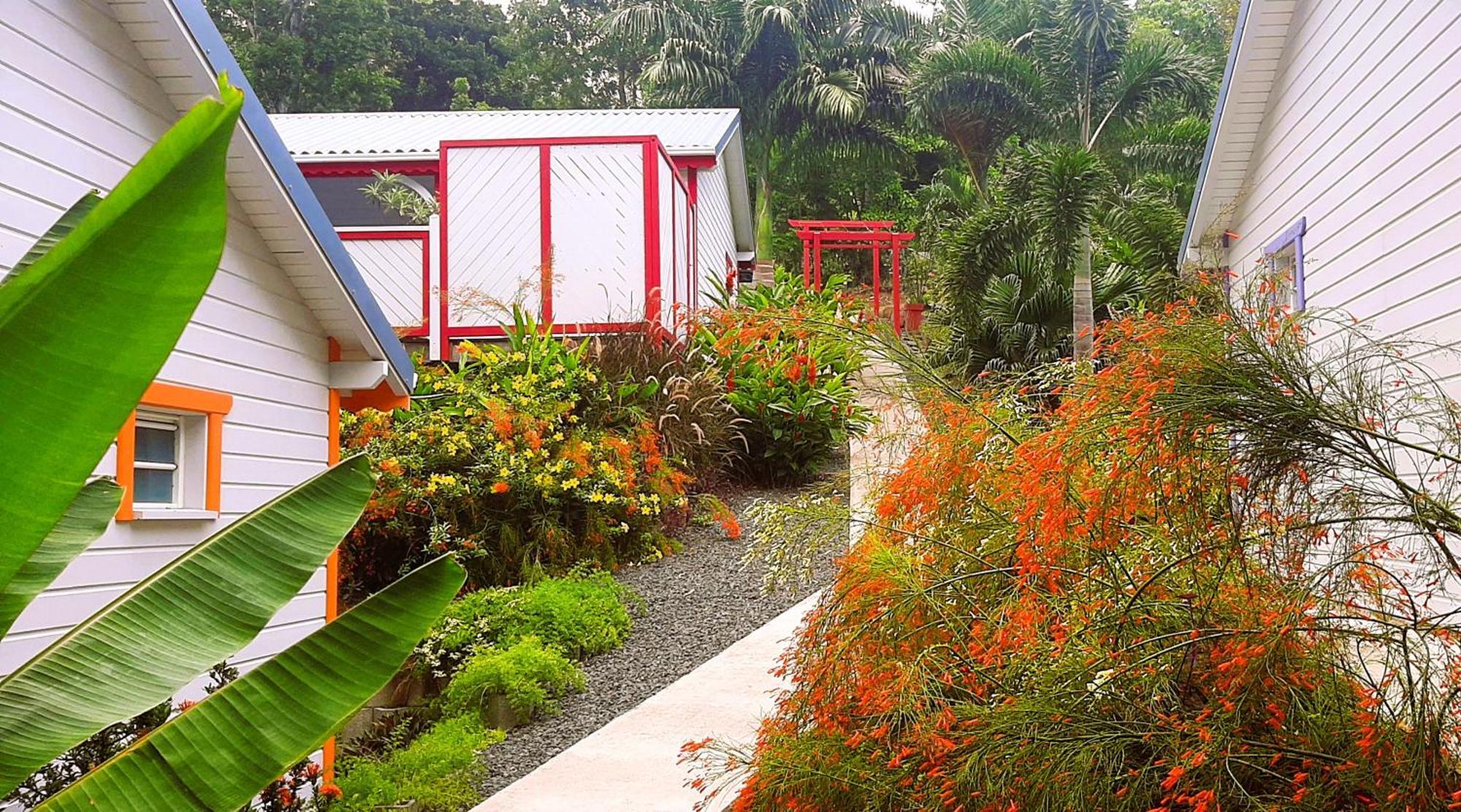 Caraibes Cottage Grenat Piscine Privee 900M De Grande Anse 데샤이에스 외부 사진
