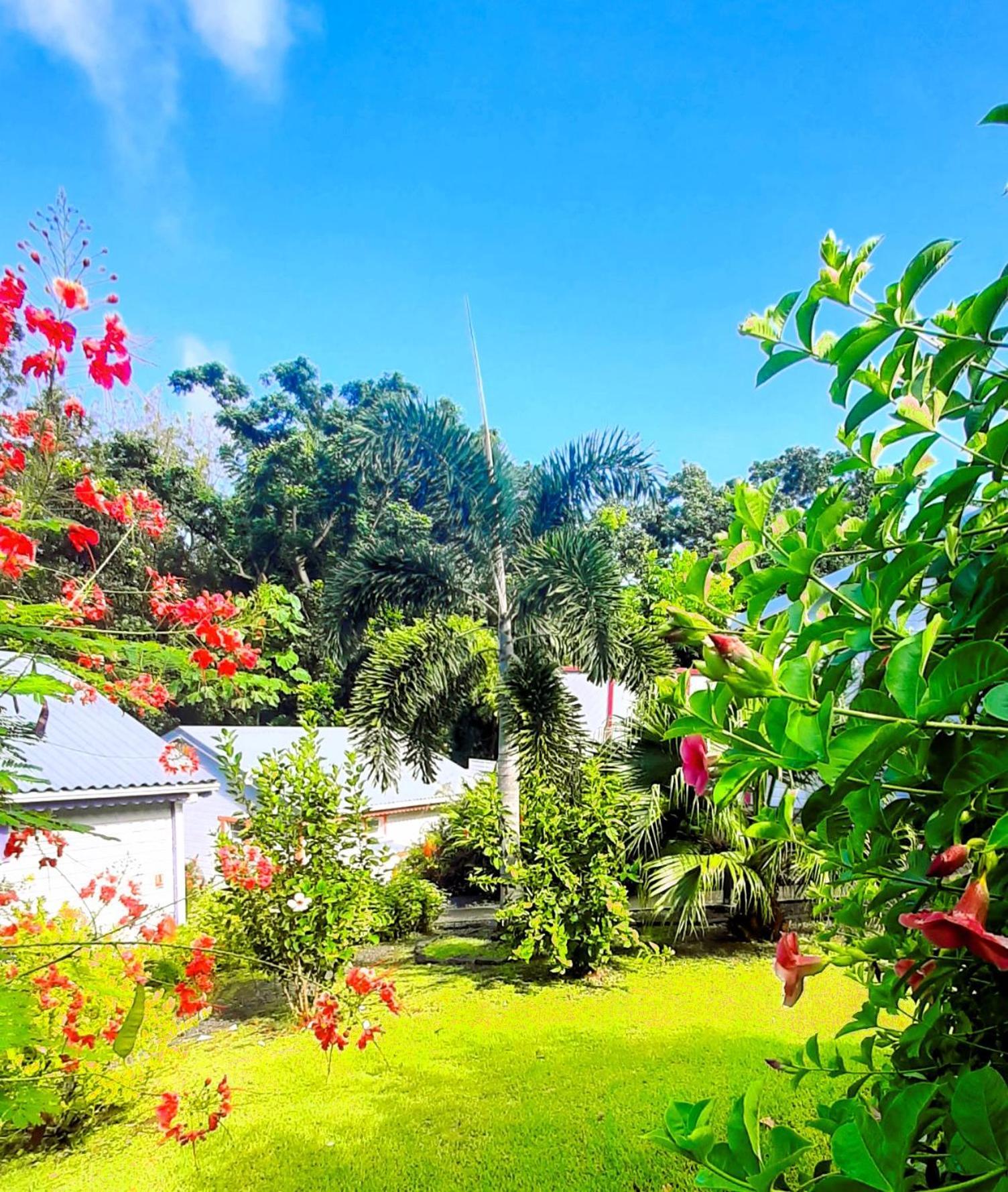 Caraibes Cottage Grenat Piscine Privee 900M De Grande Anse 데샤이에스 외부 사진